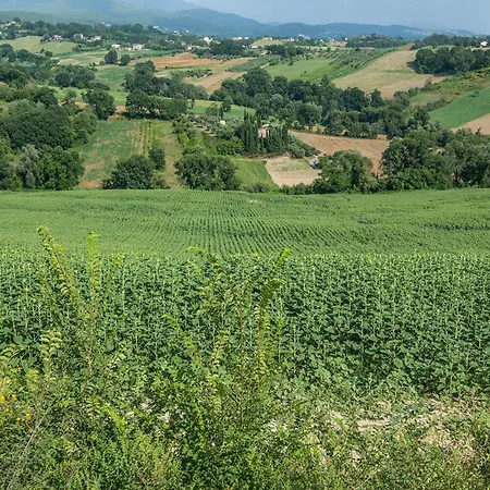 Narni *
